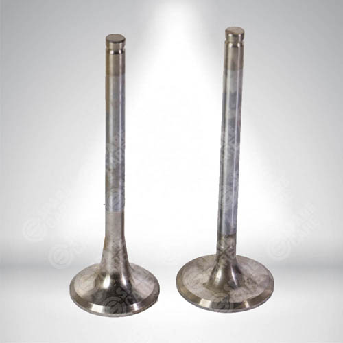 Intake & Exhaust Valves